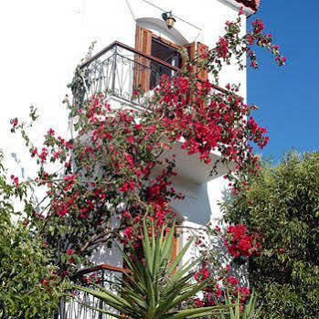 Kerkis Bay 3*